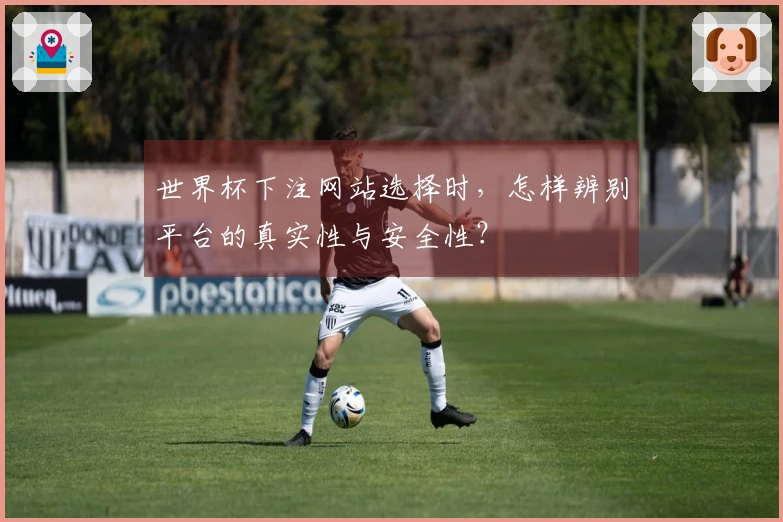 世界杯下注网站选择时，怎样辨别平台的真实性与安全性？