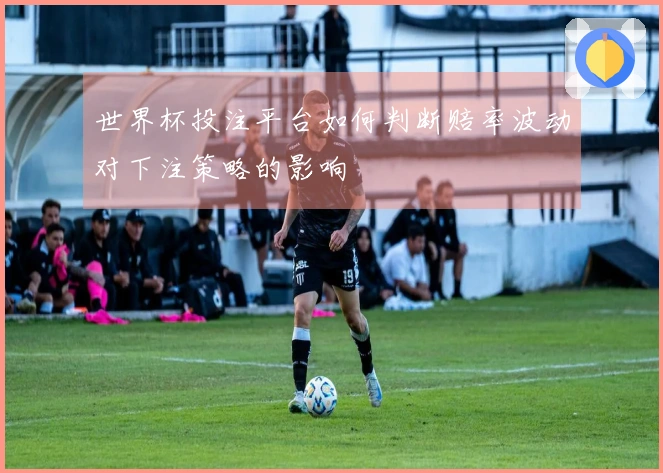 世界杯投注平台如何判断赔率波动对下注策略的影响