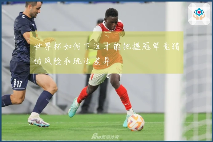 世界杯如何下注才能把握冠军竞猜的风险和玩法差异