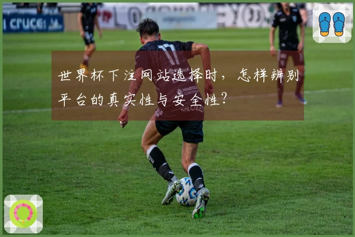 世界杯下注网站选择时，怎样辨别平台的真实性与安全性？