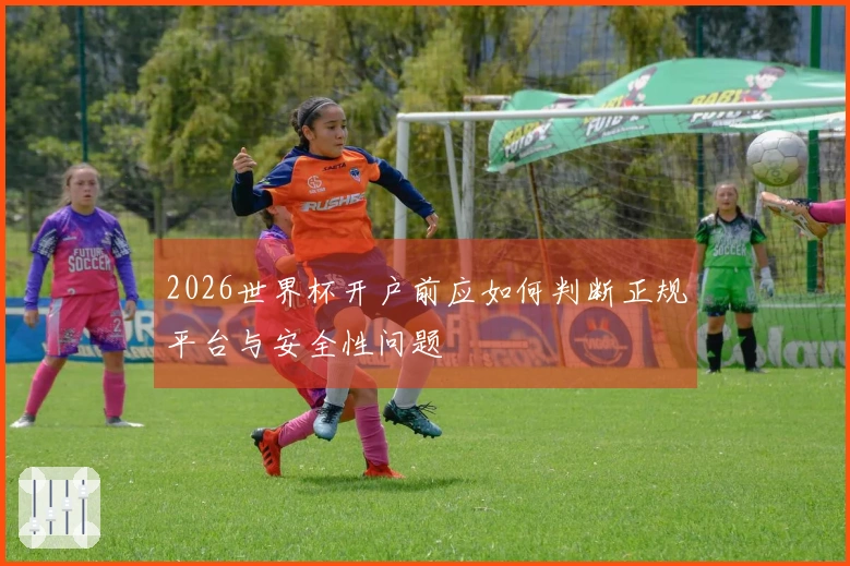 2026世界杯开户前应如何判断正规平台与安全性问题