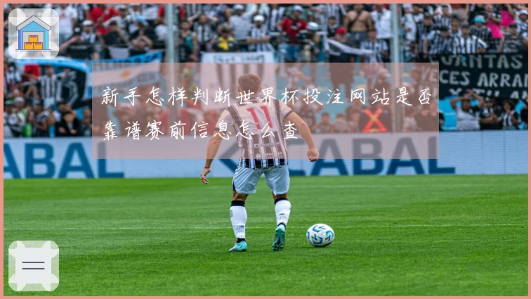 新手怎样判断世界杯投注网站是否靠谱赛前信息怎么查