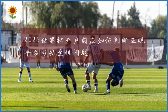 2026世界杯开户前应如何判断正规平台与安全性问题
