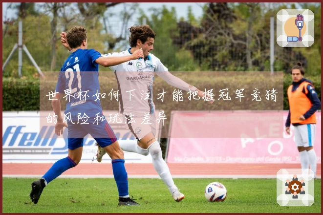 世界杯如何下注才能把握冠军竞猜的风险和玩法差异